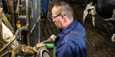 Hygiëne protocol Rundveepedicurecentrum ter voorkoming van dierziekten