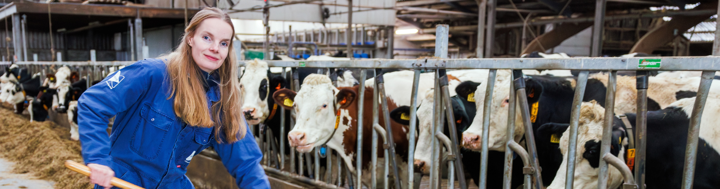 Zekerheid én vrijheid voor agrarische zzp’ers: een nieuwe manier van werken